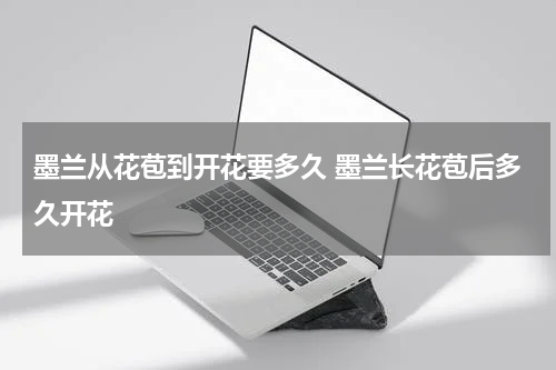 墨兰从花苞到开花要多久 墨兰长花苞后多久开花