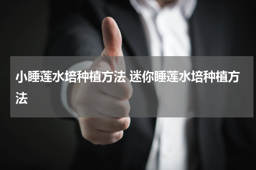 小睡莲水培种植方法 迷你睡莲水培种植方法