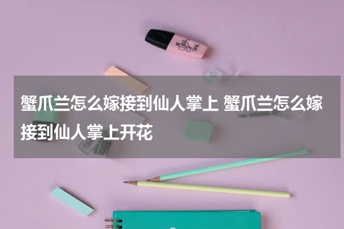 蟹爪兰怎么嫁接到仙人掌上 蟹爪兰怎么嫁接到仙人掌上开花