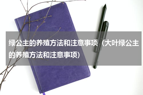 绿公主的养殖方法和注意事项(大叶绿公主的养殖方法和注意事项)