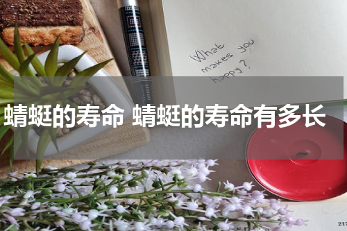 蜻蜓的寿命 蜻蜓的寿命有多长