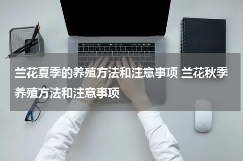 兰花夏季的养殖方法和注意事项 兰花秋季养殖方法和注意事项