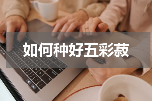 如何种好五彩菽
