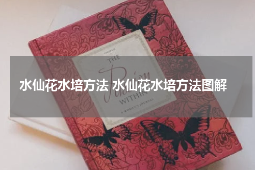 水仙花水培方法 水仙花水培方法图解