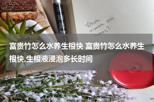 富贵竹怎么水养生根快 富贵竹怎么水养生根快,生根液浸泡多长时间