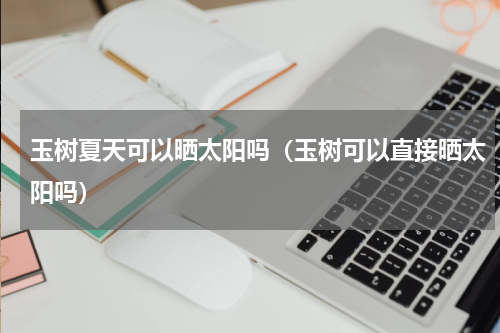 玉树夏天可以晒太阳吗(玉树可以直接晒太阳吗)