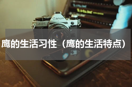 鹰的生活习性(鹰的生活特点)