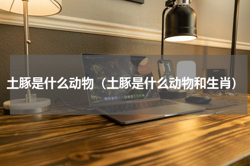 土豚是什么动物(土豚是什么动物和生肖)