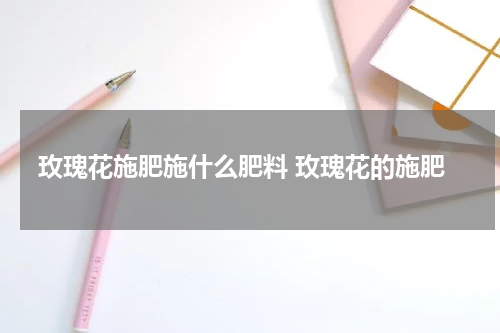 玫瑰花施肥施什么肥料 玫瑰花的施肥