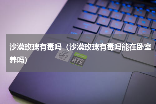 沙漠玫瑰有毒吗(沙漠玫瑰有毒吗能在卧室养吗)