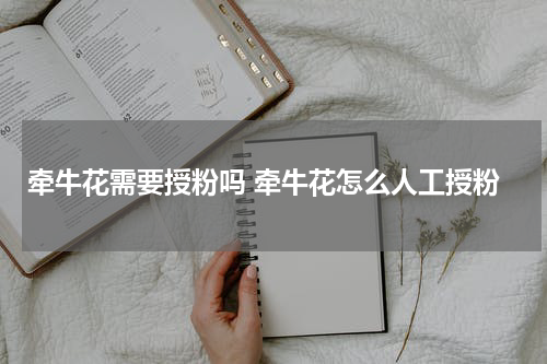 牵牛花需要授粉吗 牵牛花怎么人工授粉