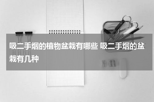 吸二手烟的植物盆栽有哪些 吸二手烟的盆栽有几种