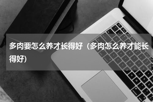 多肉要怎么养才长得好(多肉怎么养才能长得好)