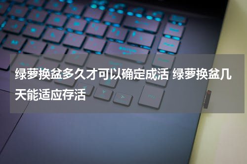 绿萝换盆多久才可以确定成活 绿萝换盆几天能适应存活