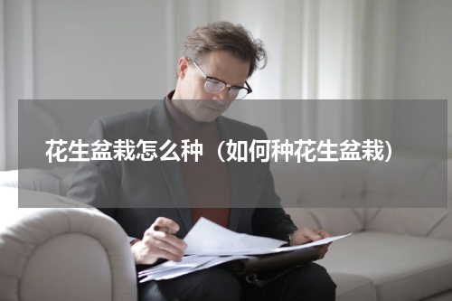 花生盆栽怎么种(如何种花生盆栽)