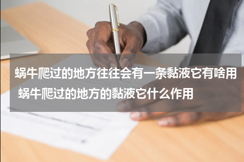 蜗牛爬过的地方往往会有一条黏液它有啥用 蜗牛爬过的地方的黏液它什么作用
