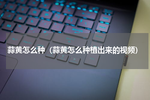 蒜黄怎么种(蒜黄怎么种植出来的视频)