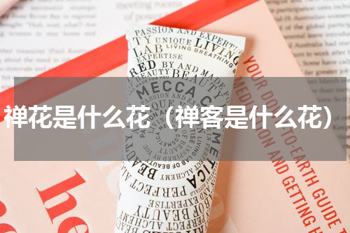 禅花是什么花(禅客是什么花)