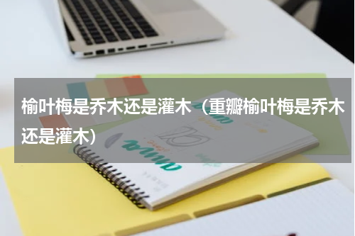 榆叶梅是乔木还是灌木(重瓣榆叶梅是乔木还是灌木)