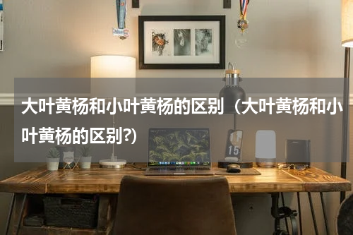 大叶黄杨和小叶黄杨的区别(大叶黄杨和小叶黄杨的区别?)