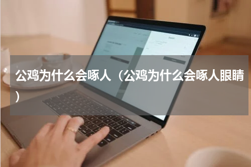 公鸡为什么会啄人(公鸡为什么会啄人眼睛)