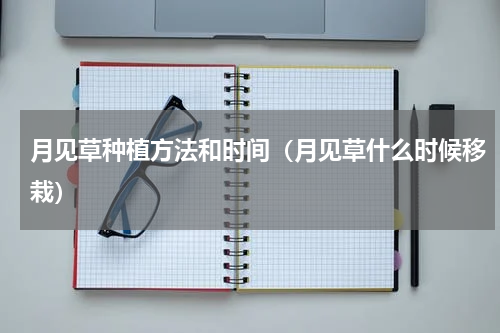 月见草种植方法和时间(月见草什么时候移栽)