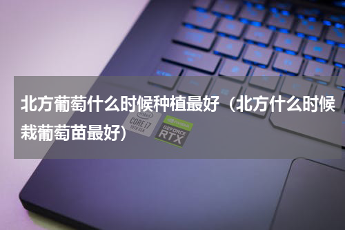 北方葡萄什么时候种植最好(北方什么时候栽葡萄苗最好)