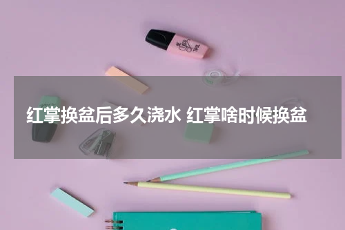 红掌换盆后多久浇水 红掌啥时候换盆