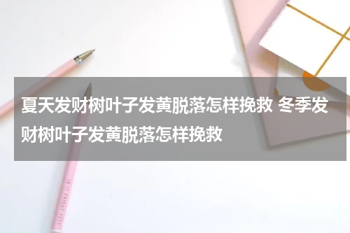 夏天发财树叶子发黄脱落怎样挽救 冬季发财树叶子发黄脱落怎样挽救