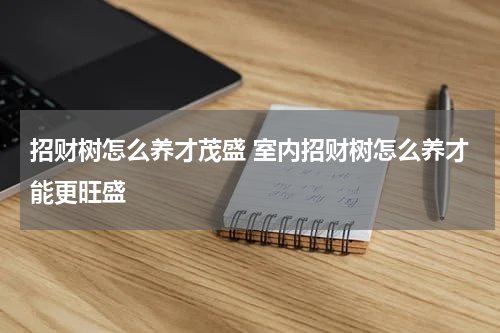 招财树怎么养才茂盛 室内招财树怎么养才能更旺盛