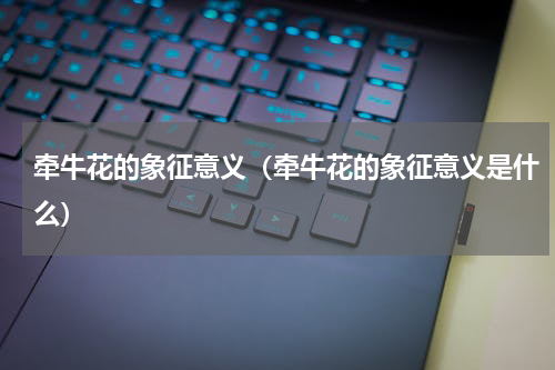 牵牛花的象征意义（牵牛花的象征意义是什么）