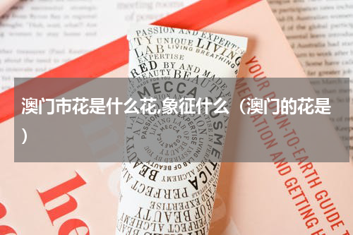 澳门市花是什么花,象征什么(澳门的花是)