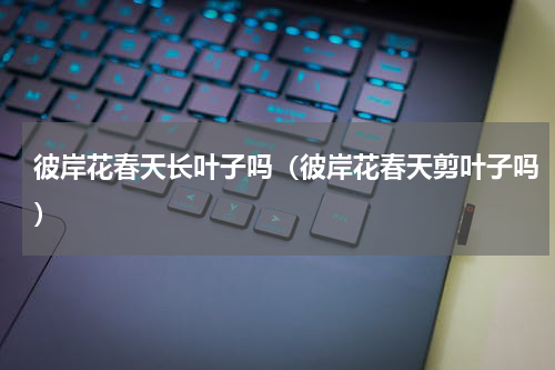 彼岸花春天长叶子吗(彼岸花春天剪叶子吗)