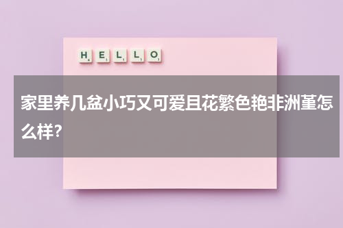 家里养几盆小巧又可爱且花繁色艳非洲堇怎么样？