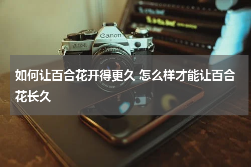 如何让百合花开得更久 怎么样才能让百合花长久