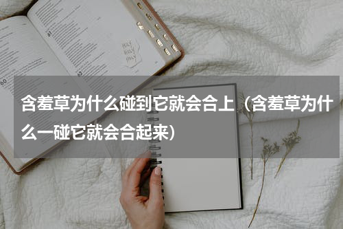 含羞草为什么碰到它就会合上(含羞草为什么一碰它就会合起来)