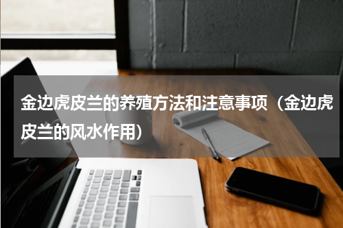 金边虎皮兰的养殖方法和注意事项(金边虎皮兰的风水作用)