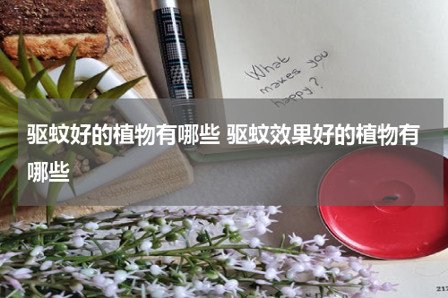 驱蚊好的植物有哪些 驱蚊效果好的植物有哪些