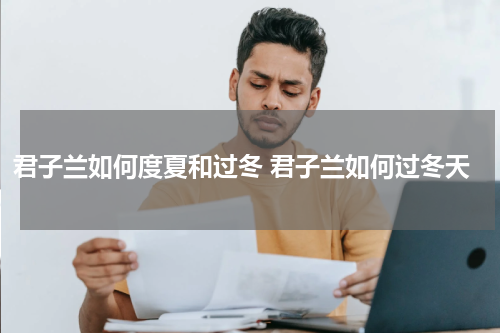 君子兰如何度夏和过冬 君子兰如何过冬天