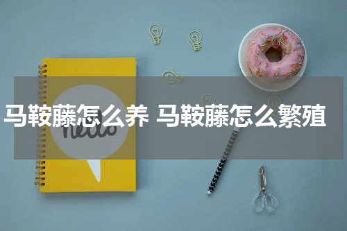 马鞍藤怎么养 马鞍藤怎么繁殖