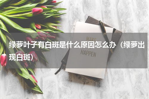 绿萝叶子有白斑是什么原因怎么办(绿萝出现白斑)