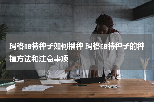 玛格丽特种子如何播种 玛格丽特种子的种植方法和注意事项