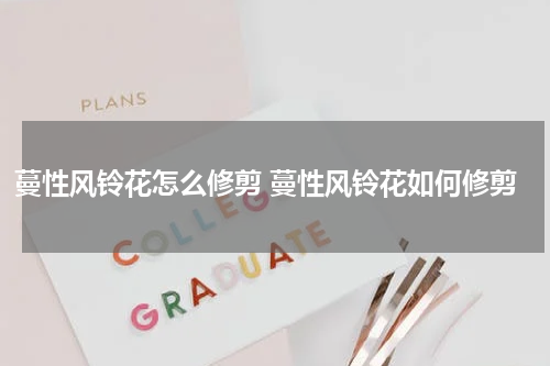 蔓性风铃花怎么修剪 蔓性风铃花如何修剪