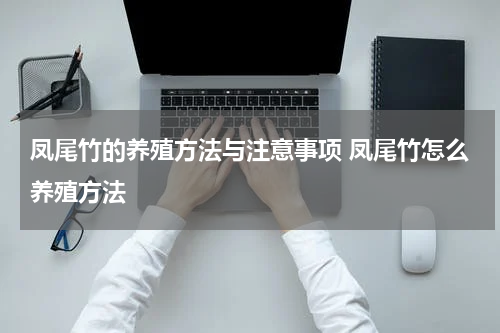 凤尾竹的养殖方法与注意事项 凤尾竹怎么养殖方法