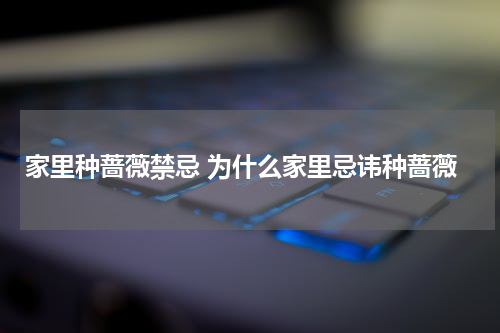 家里种蔷薇禁忌 为什么家里忌讳种蔷薇