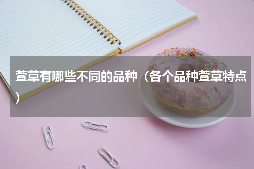 萱草有哪些不同的品种(各个品种萱草特点)