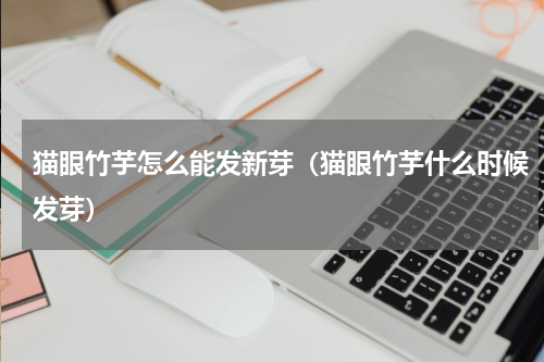 猫眼竹芋怎么能发新芽(猫眼竹芋什么时候发芽)