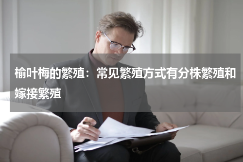 榆叶梅的繁殖:常见繁殖方式有分株繁殖和嫁接繁殖