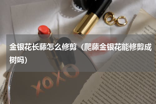 金银花长藤怎么修剪(爬藤金银花能修剪成树吗)