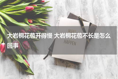 大岩桐花苞开得慢 大岩桐花苞不长是怎么回事